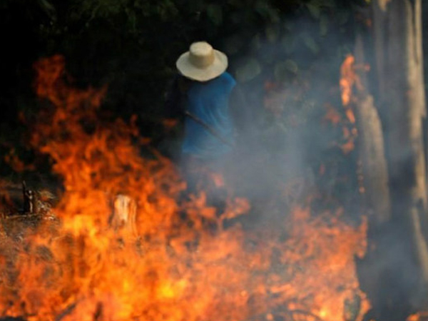 Cháy rừng kỷ lục ở Amazon: Brazil đạt con số cao kỷ lục về cháy rừng 1