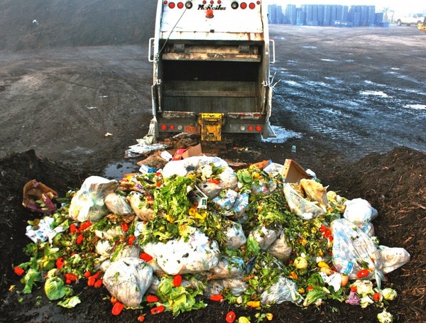 Cách phân loại rác để bảo vệ môi trường 3
