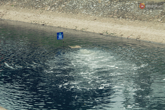 Nước Hồ Tây xả vào sông Tô Lịch sau 5 ngày: Cá chết nổi trắng, bốc mùi hôi trở lại 4