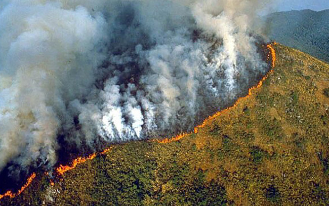 Cháy rừng kỷ lục ở Amazon: Brazil đạt con số cao kỷ lục về cháy rừng 2