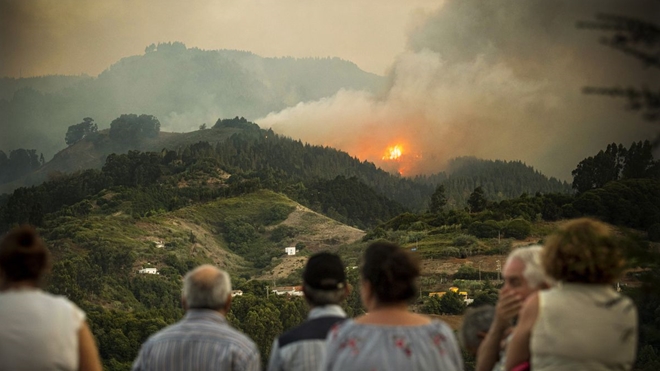 Cháy rừng kỷ lục ở Amazon: Brazil đạt con số cao kỷ lục về cháy rừng 3