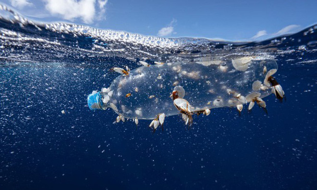 "Quyền sống" của nhựa - để nhựa có một cuộc đời ý nghĩa dài lâu 2