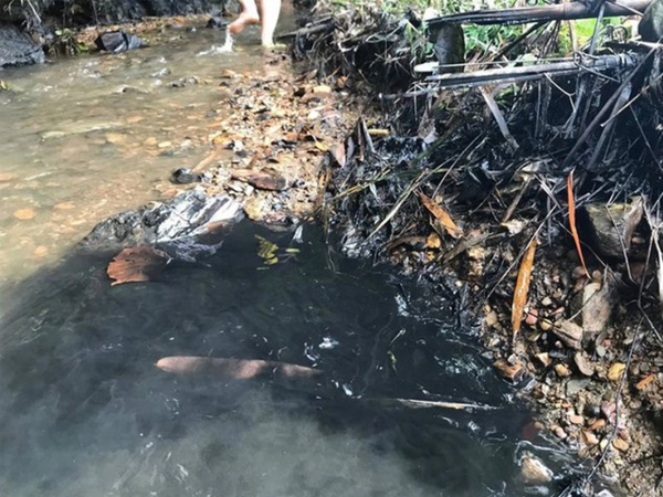 Khởi tố hình sự vụ "nước sạch sông Đà" nhiễm dầu thải 1
