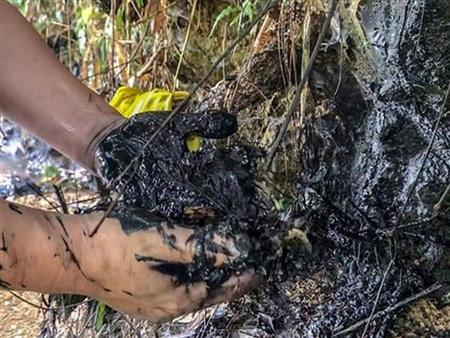 Công ty nước sạch sông Đà phát hiện đổ trộm dầu thải 8/10 nhưng không báo cáo